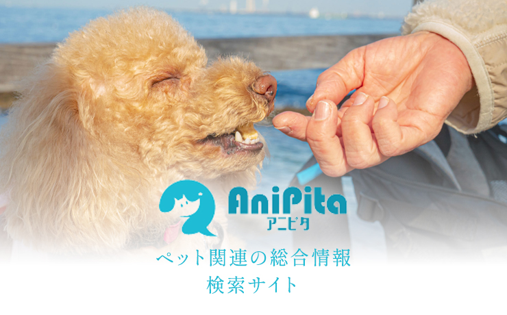 国内の動物病院・ペットホテル・ペット葬儀業者のご紹介やレビューなど参考になる情報を掲載する口コミサイトです！